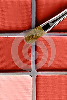 Palette of coral eye shadow and the makeup brush, top view