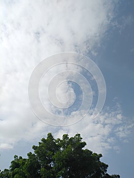 A palette of nature, the combination of green, blue and white