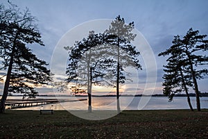 Palic Lake, in Subotica, Serbia, with pine trees and a green lawn in the background, during an autumn sunset.