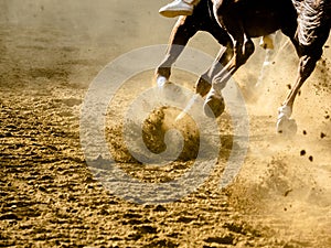 Palio di Asti horse racing details of galloping horses legs on hippodrome