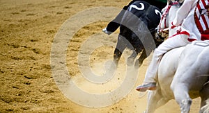 Palio di Asti horse racing details of galloping horses legs on hippodrome