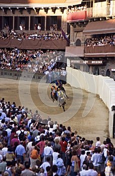 Palio di Siena - july 2003