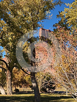 Palisade Through Autumn Leaves