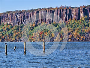 The Palisades