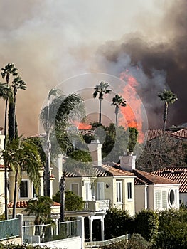 Palisades Fire
