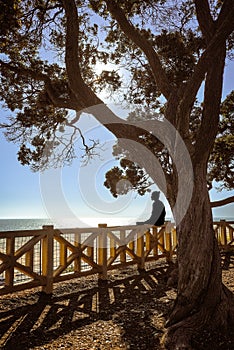 Silhouette of a Young Man sitting on a Fence in Palisades Park - Santa Monica, California