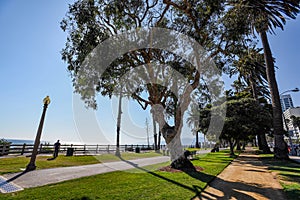 The Palisades Park in Santa Monica, California