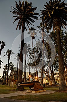 Palisades Park, Santa Monica California