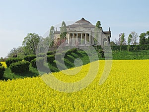 Palladios Villa La Rotonda with a yellow field of