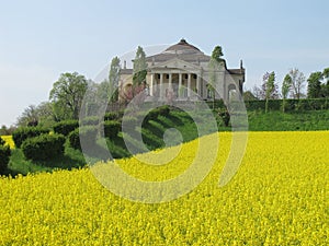 Palladios Villa La Rotonda with a yellow field of photo
