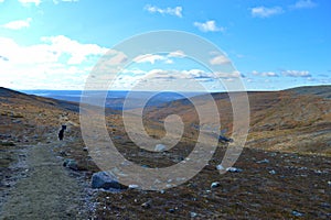 Pallas national park in Finnish Lapland