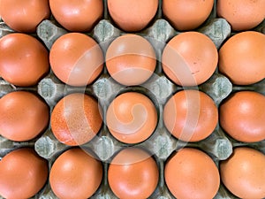 Pallet with brown eggs. Close-up fresh eggs for sale at a market.