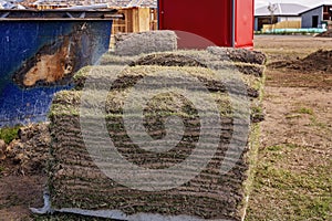 A Pallet Of Farmed Lawn Grass