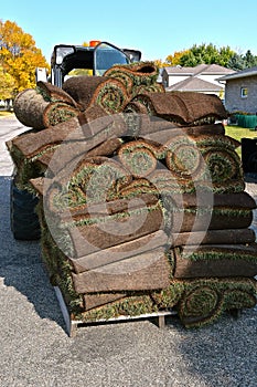 A pallet with a leaning stack of sod rolls