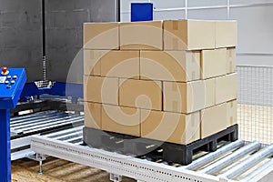 Pallet packer
