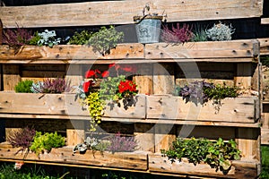 Pallet rebuilt into flower boxes