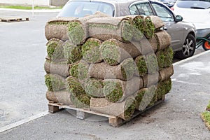 Pallet with stack of turf grass rolls lawn fresh grass to decorate landscape design in residential area
