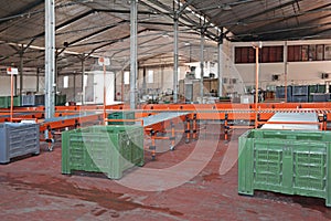 Pallet Tote Conveyor Sorting