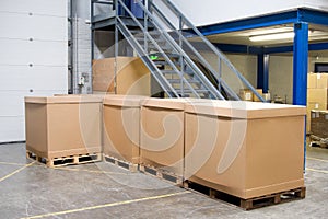 Pallets with cartons in warehouse