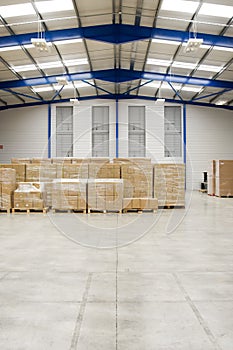 Pallets with cartons in warehouse