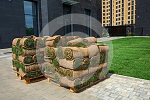 Pallets with sod turf grass. The stacked fresh sod rolls for new grass lawn in residential area.