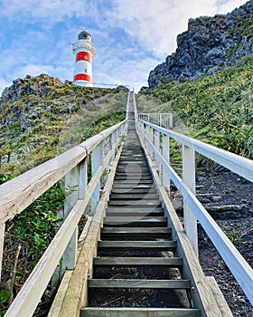 Palliser Lighthouse staircase