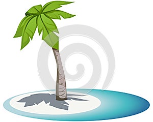 Palm