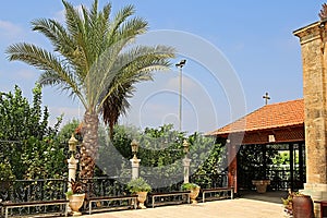 Palm and arbor on the yard of the Cana Greek Orthodox Wedding Church in Cana of Galilee, Kfar Kana