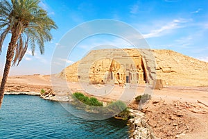 The palm on the bank of the Nile river in Abu Simbel Temple, Egypt
