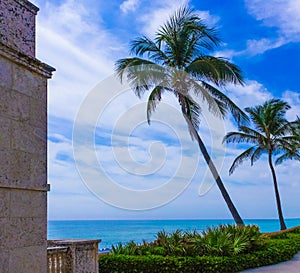 Palm Beach, Florida, USA - ocean and trees on Worth Ave.