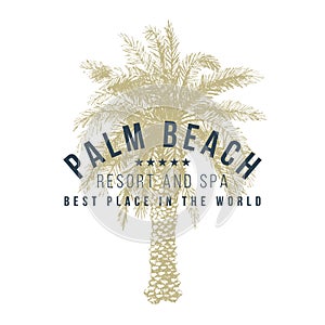 Palm beach logo template