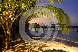 Palm beach paradise photo