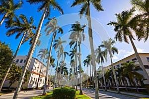 Palm Beach royal Palm Way Florida US