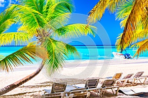 Palm beach on tropical idyllic paradise Island. Vacation and travel concept. Sunbeds and Palms, Saona Island, Dominican Republic