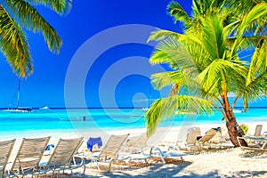 Palm beach on tropical idyllic paradise Island. Vacation and travel concept. Sunbeds and Palms, Saona Island, Dominican Republic