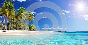 Palma pláž v tropický ráj 