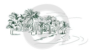 Palm beach vector sketch landscape line illustration skyline