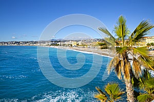 Palm and beautiful turquoise water in Nice, cote d\'Azur, France