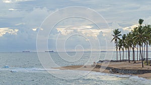 Palm and Blue Sea and Blue Sky Ondina Salvador Bahia Brazil photo