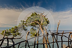 Palm branch on the background of mountains and sky.