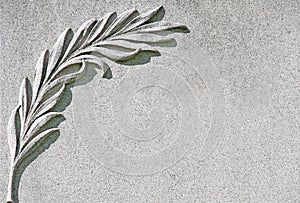 Palm Branch Carved on White Marble Stone background