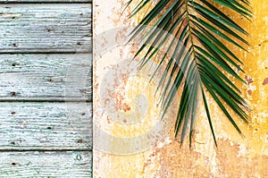 Palm branch on an old vintage wall and wooden door of historical