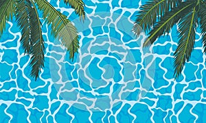 Palm branches on the background of the pool water surface