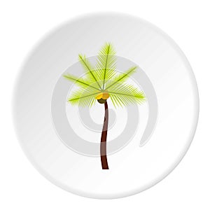 Palm butia capitata icon, flat style