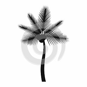 Palm butia capitata icon, simple style