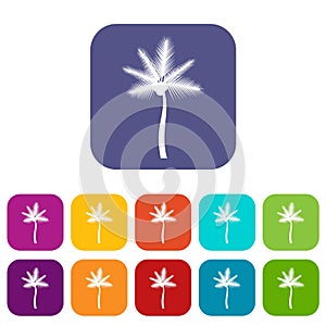 Palm butia capitata icons set