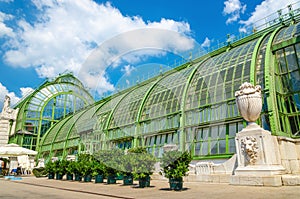 Palm and Butterfly house in Vienna Burggarten, Austria