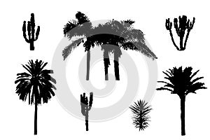 Palm and cactus silhouettes, floral objects isolated on white background for design