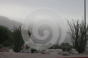 Palm city haboob 3712