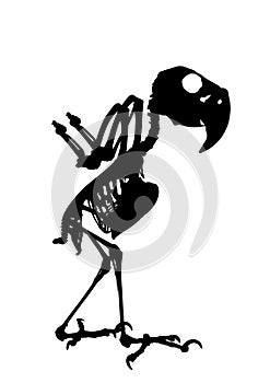 Palm Cockatoo Parrot skeleton vector silhouette illustration isolated on white background.